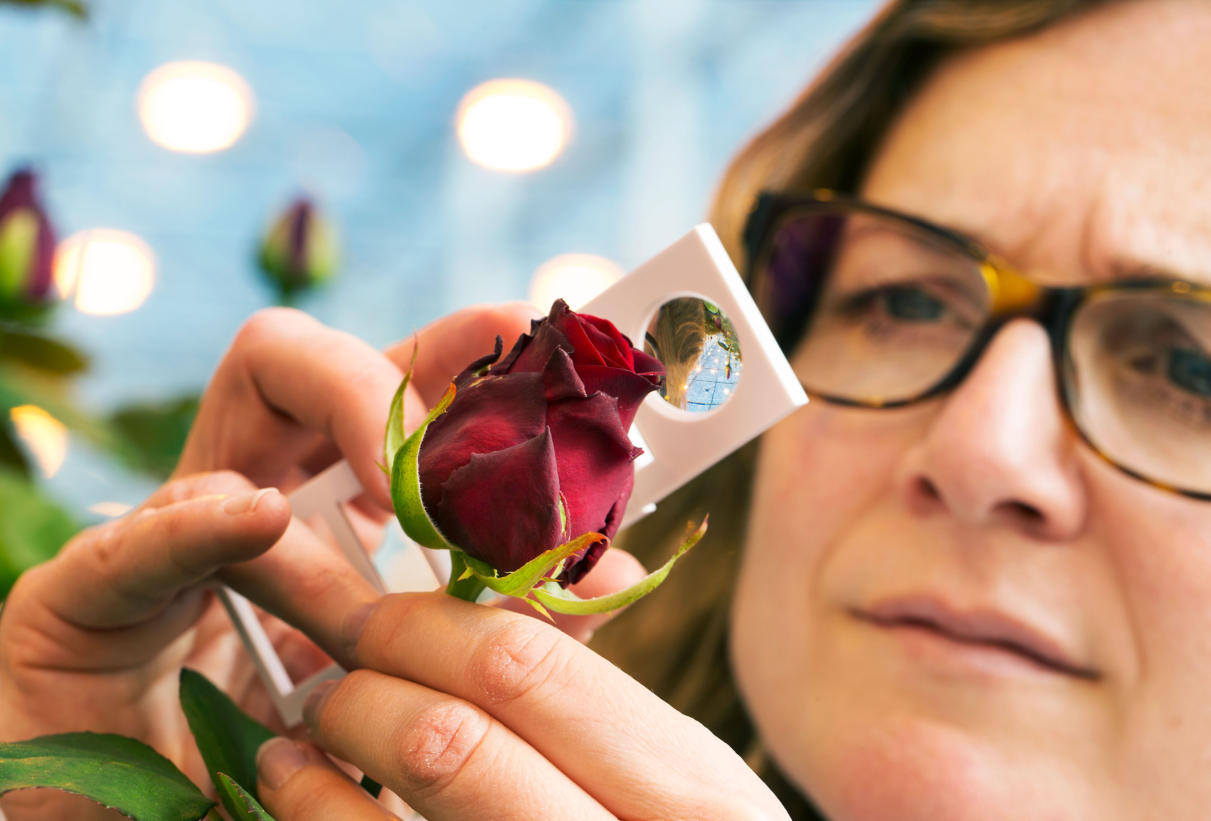 Effective Biological Control: Keep a Close Eye on Everything