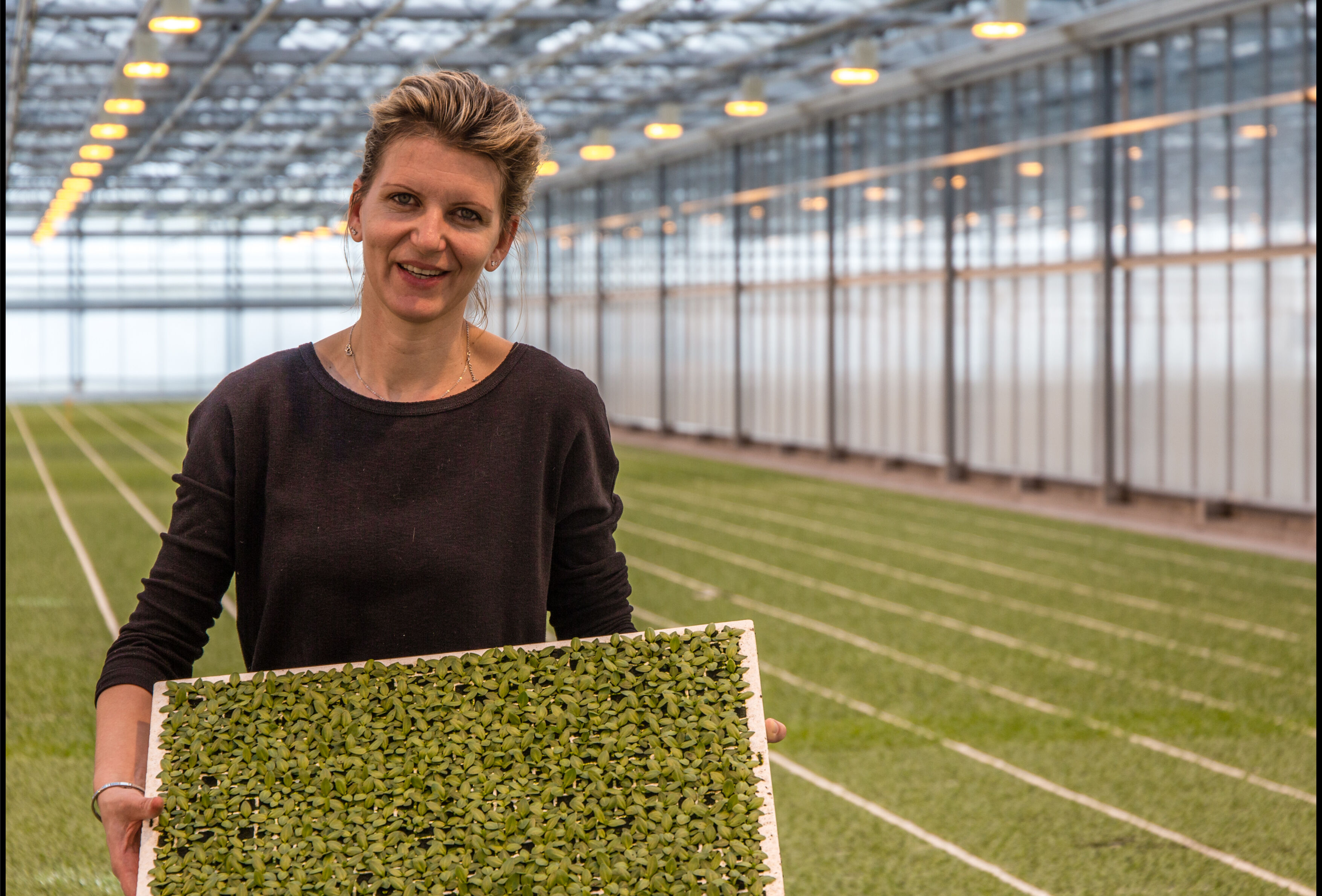 Optimal Results with Entonem and Capsanem