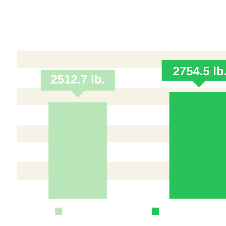 Acadian-treated pistachio trees consistently produce higher yields and more pounds of marketable nuts.
