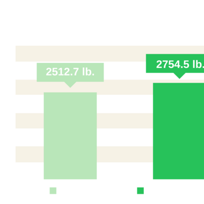 Acadian-treated pistachio trees consistently produce higher yields and more pounds of marketable nuts.