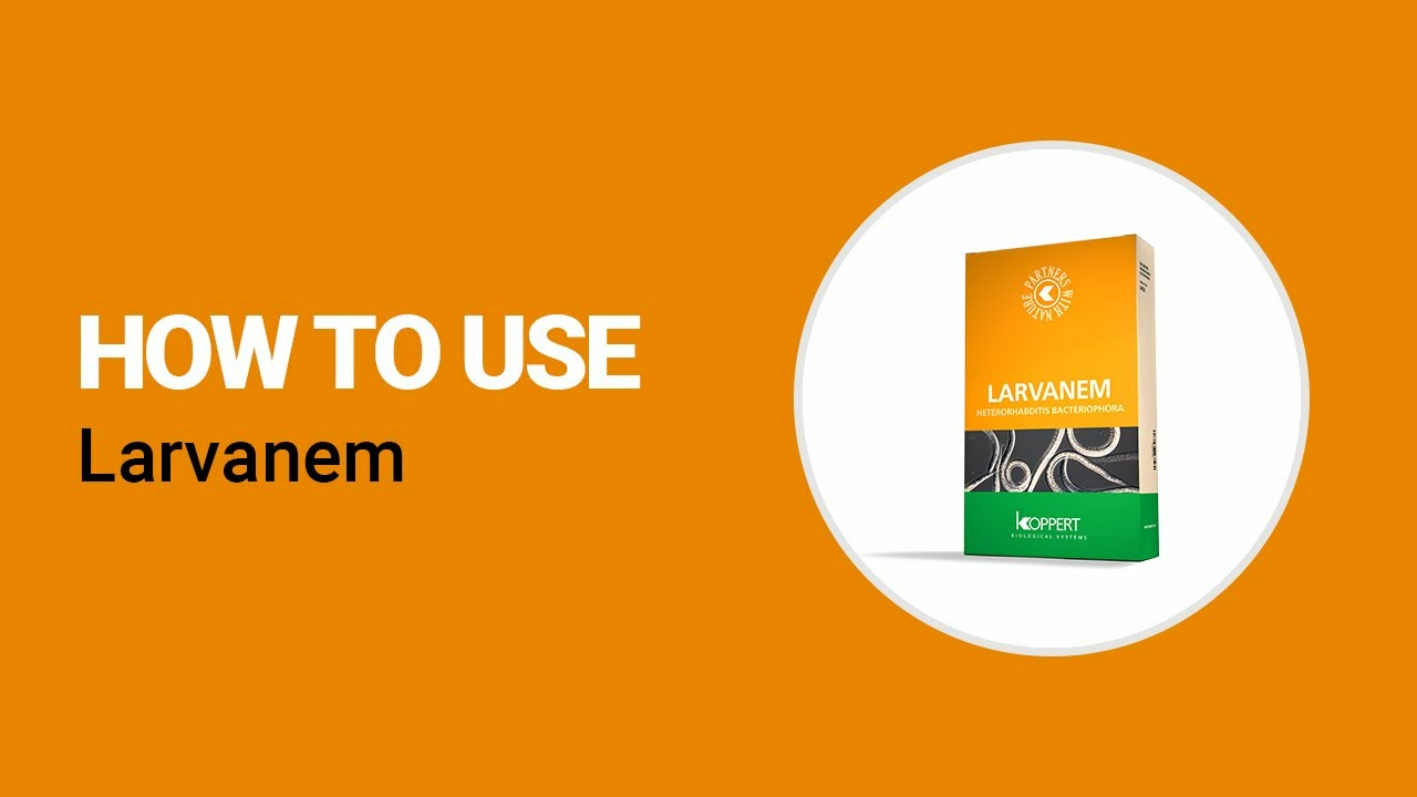 How to use Larvanem from Koppert
