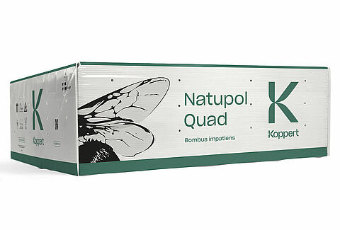 Quad