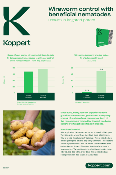 Wireworms control in potatoes