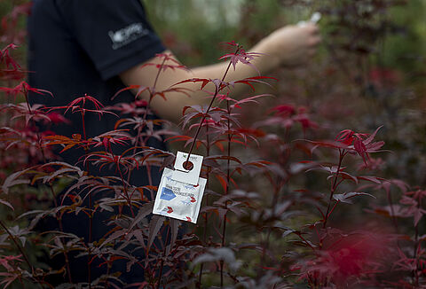 Reinforced Hook For All