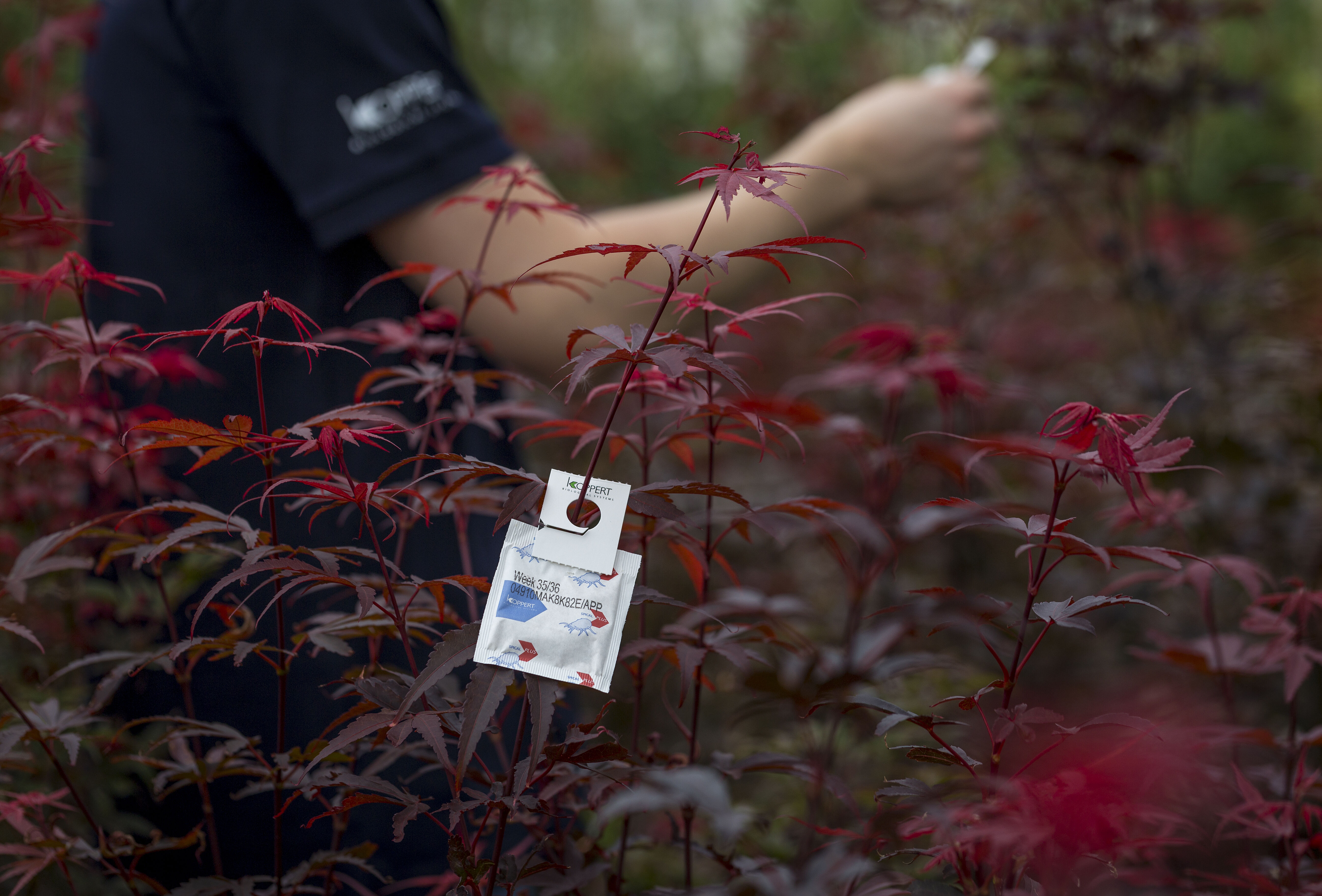 Reinforced Hook For All