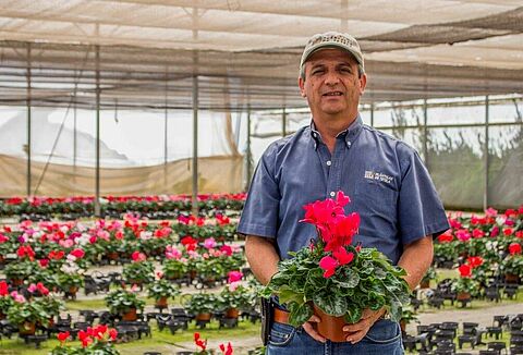 No Risks for Employees or for the Environment