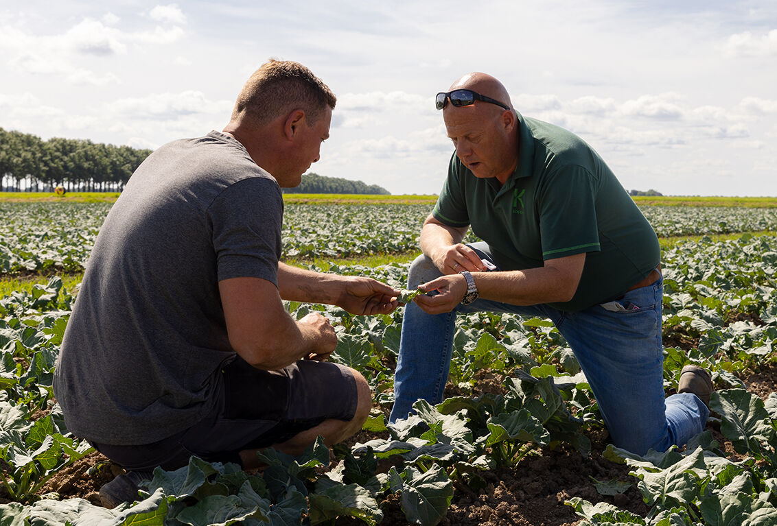 Integrated crop management: the key to sustainable business operations