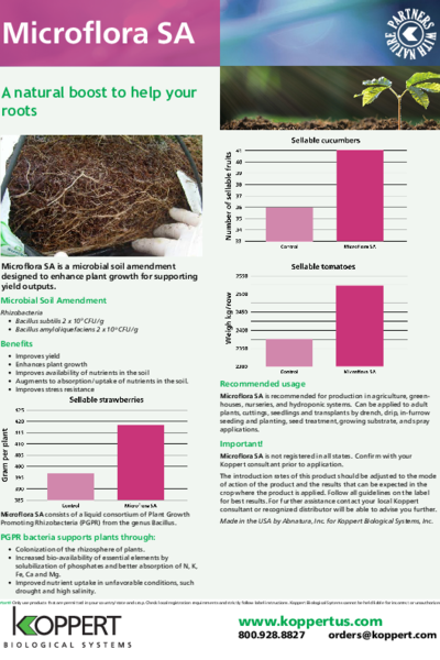 Microflora SA leaflet