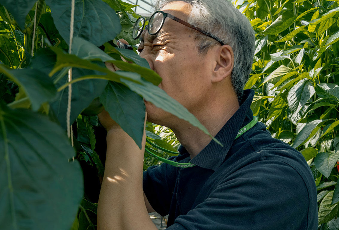 Want to know whether Spical will be effective? Check, check, and double-check!