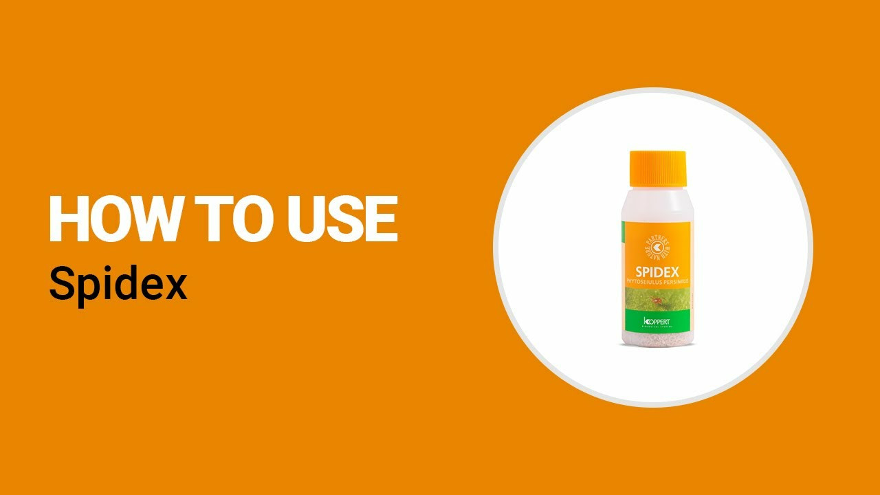 How to use Spidex from Koppert