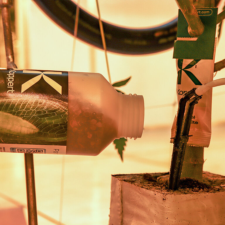Versatile pest control powered by Chrysopa.