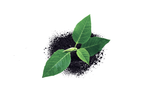 Plant health