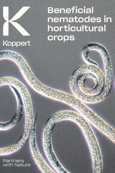 Beneficial Nematodes against Horticultural Pests