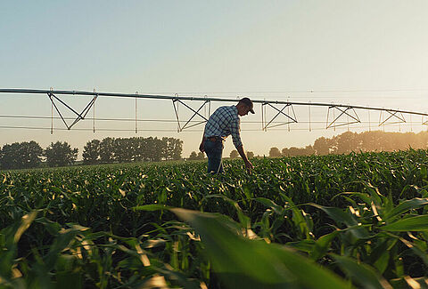 Nurturing soil and water for a sustainable tomorrow
