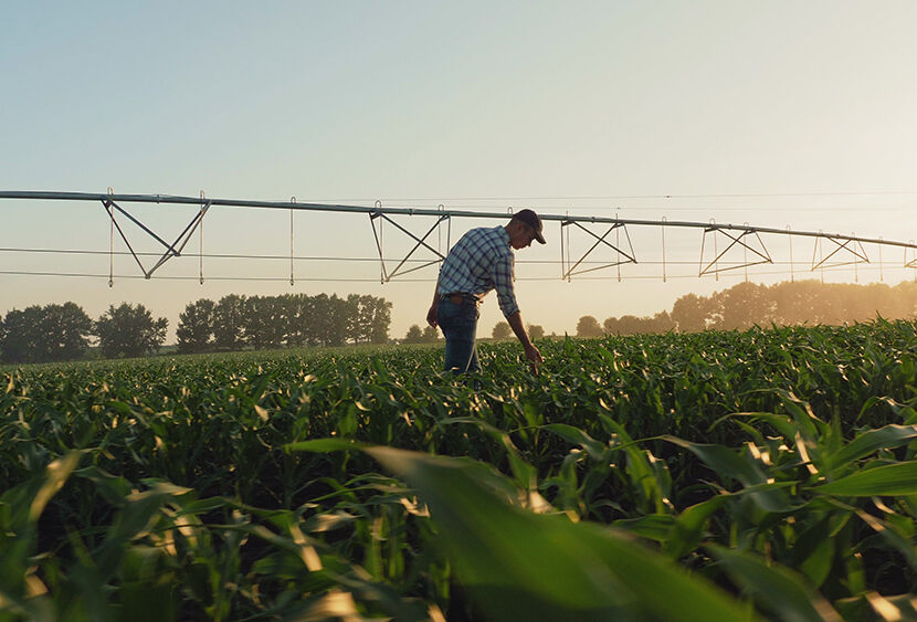 Nurturing soil and water for a sustainable tomorrow