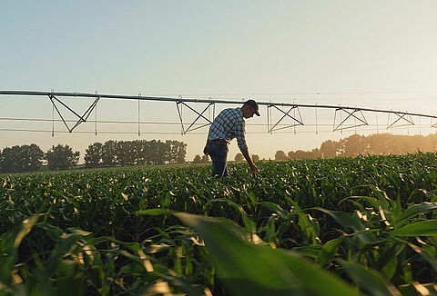 Nurturing soil and water for a sustainable tomorrow