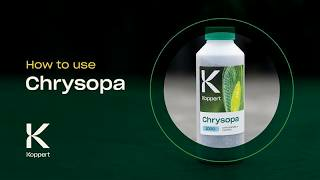 How to use Chrysopa from Koppert