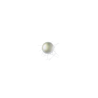 Tetranychus urticae egg