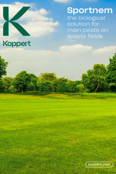 Sportnem leaflet