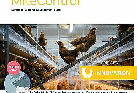 Koppert Involved in New Project Aiming for Sustainable Control of Poultry Red Mite