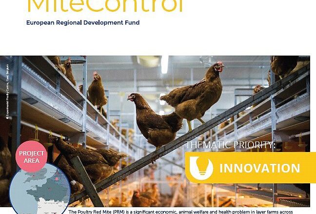 Koppert Involved in New Project Aiming for Sustainable Control of Poultry Red Mite