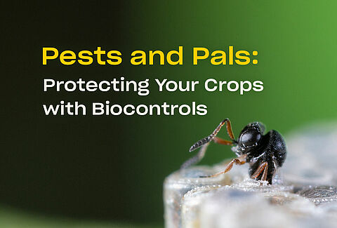 Pests and Pals Webinar: Watch the Recording Now!