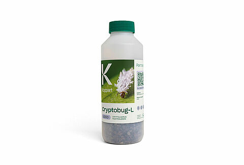 Cryptobug-L