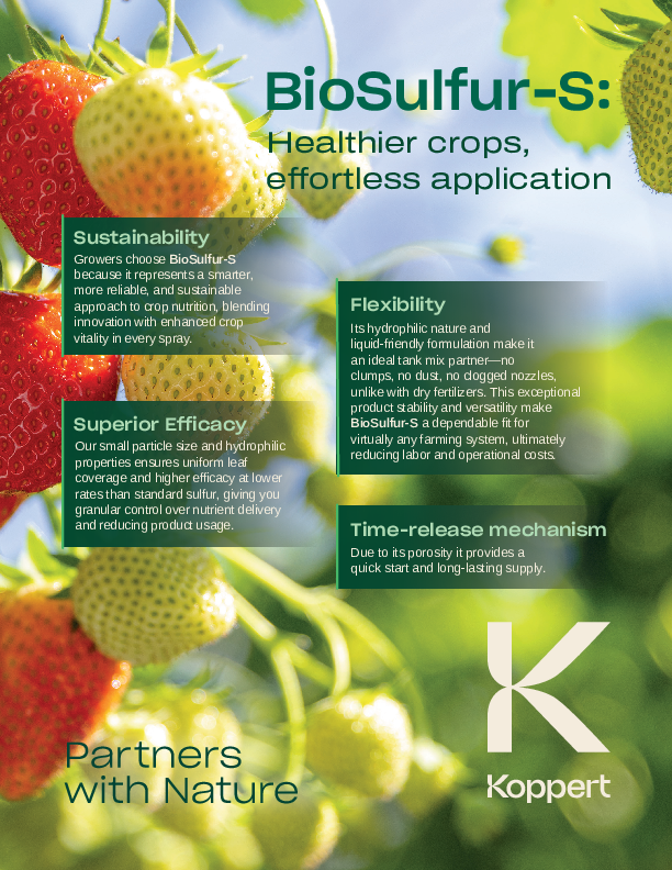 BioSulfur-S Strawberry