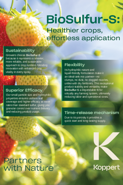 BioSulfur-S Strawberry