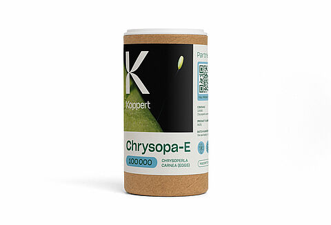 Chrysopa-E