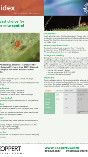 Spidex leaflet - © Koppert Biological Systems Spidex leaflet