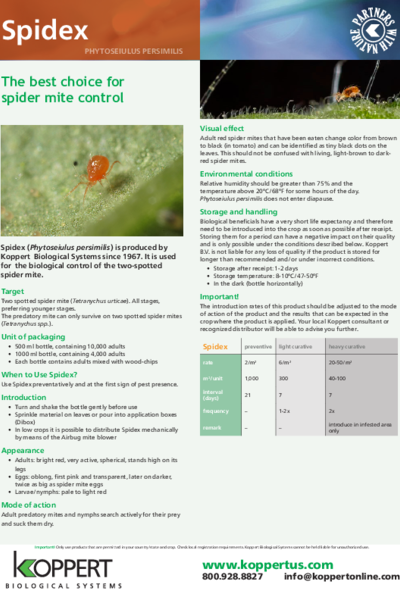 Spidex leaflet