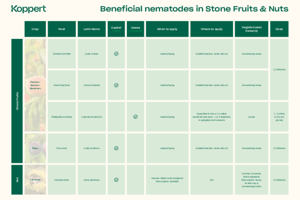 Target pests of beneficial nematodes in stone fruits & nuts