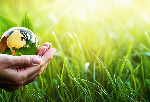 International series ‘Plants for Life, Plants to Survive’