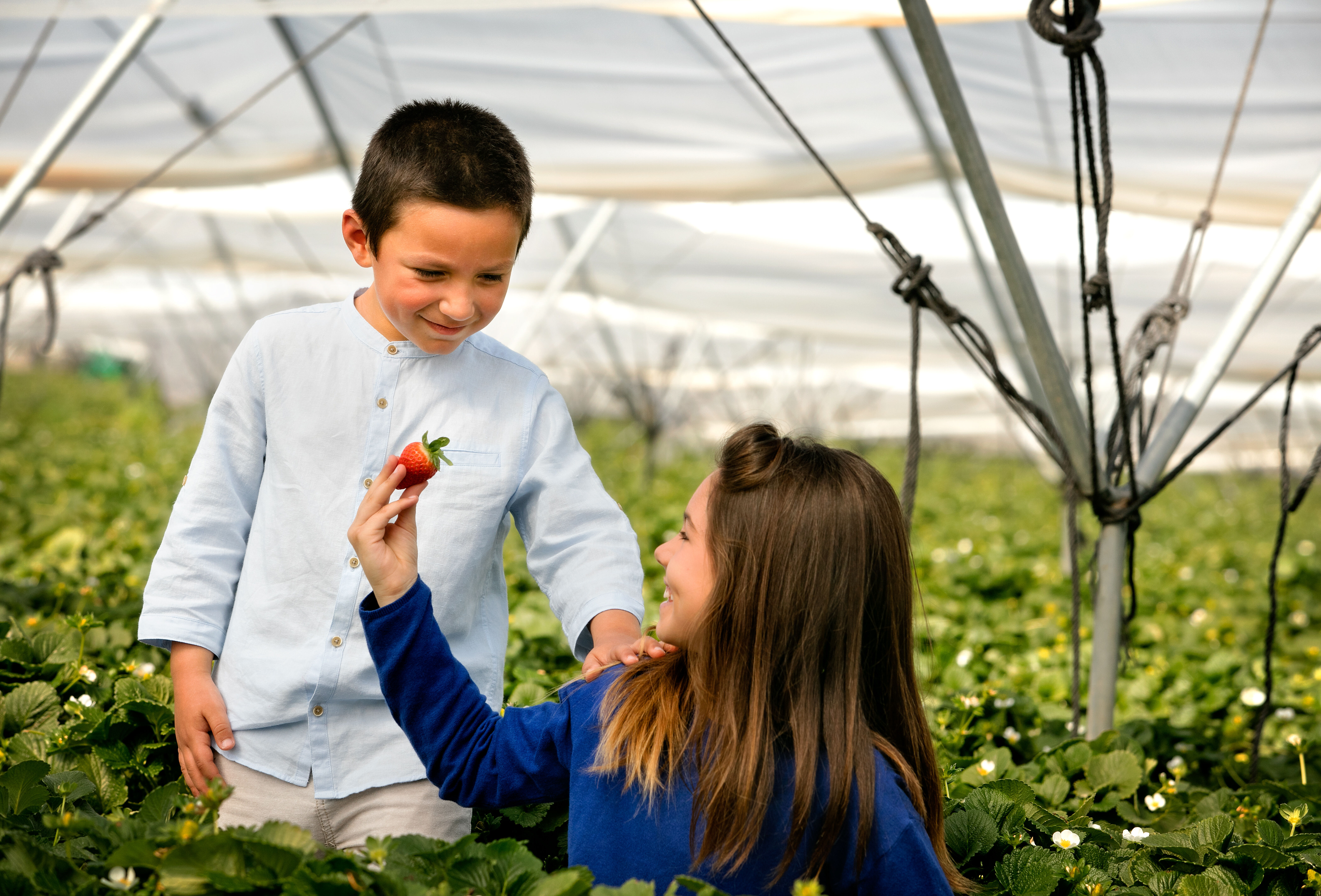 Why We Do, What We Do