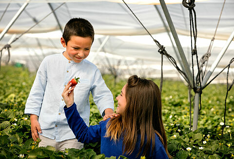 Why We Do, What We Do