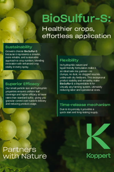 BioSulfur-S Grapes