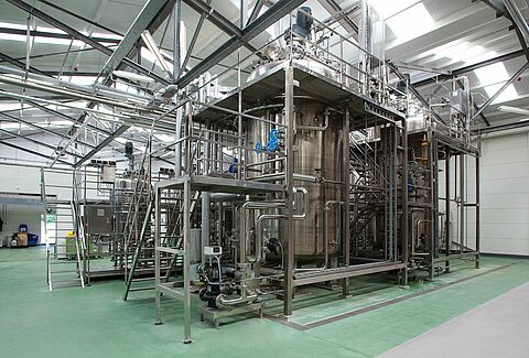 Insight to the Production of Nematodes