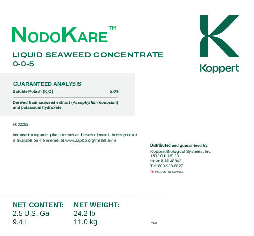NodoKare label