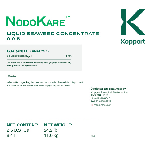 NodoKare label