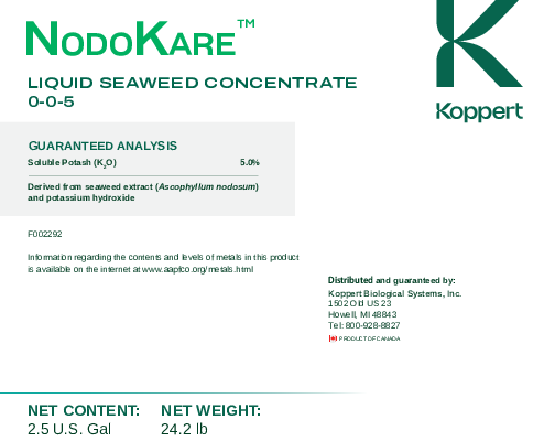 NodoKare label