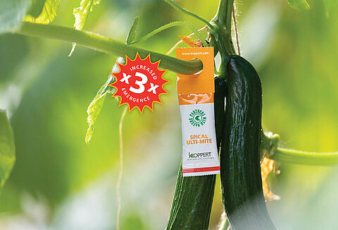 The Revolutionary Spical Ulti-Mite Sachet