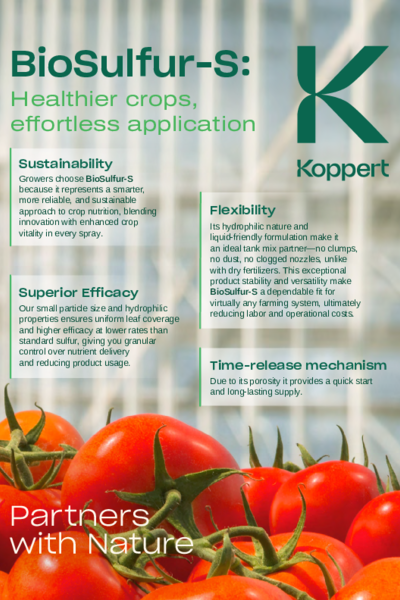 BioSulfur-S Tomatoes