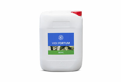 Vidi Fortum
