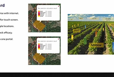 Reasons to Scout with Koppert iPM