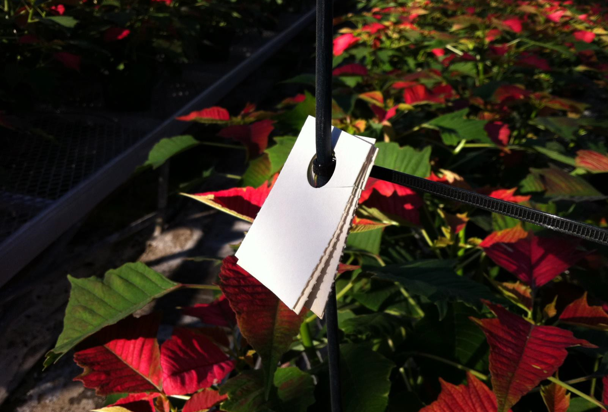 Finish Clean with an IPM Based Program