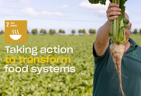 Combating food loss and waste: Taking action to transform food systems
