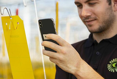 Koppert is Investing in Smarter Scouting