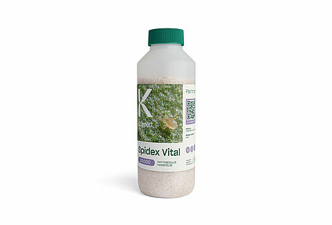 Spidex Vital