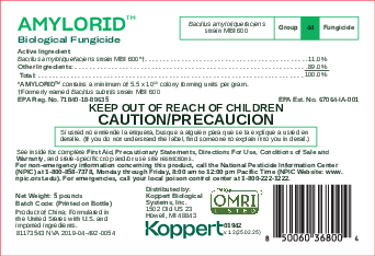 Amylorid™ label